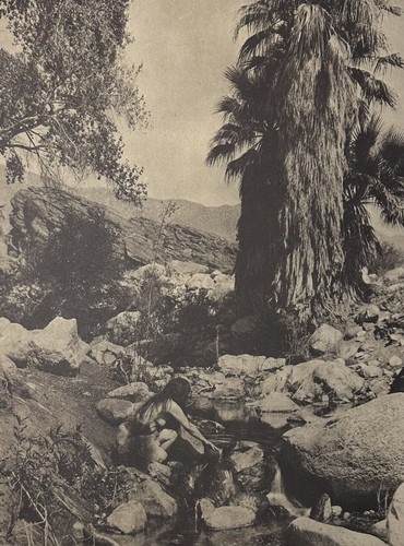 Vintage edward curtis - vintage, sepia