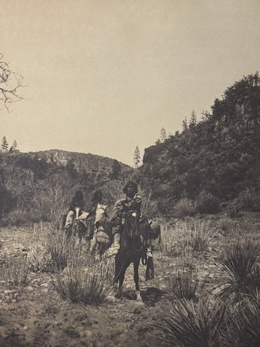 Vintage edward curtis sepia - vintage,